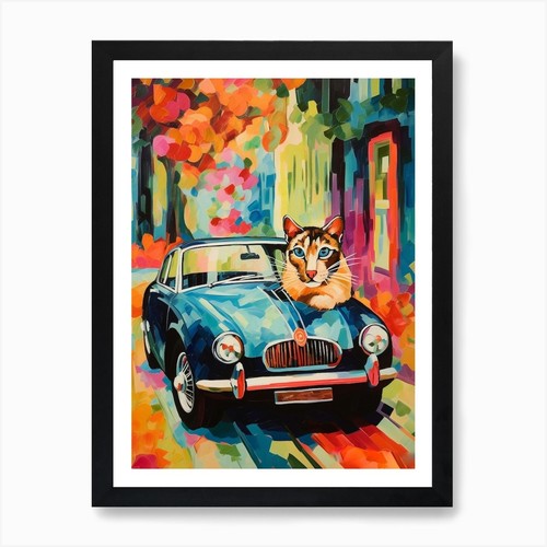 Mgb vintage car with - mg, cat