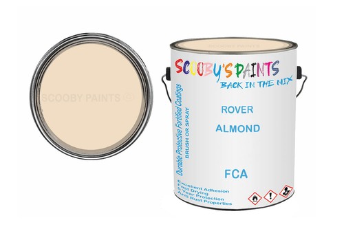 Classic paint for - paint,