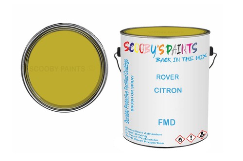 Classic paint for - classic,