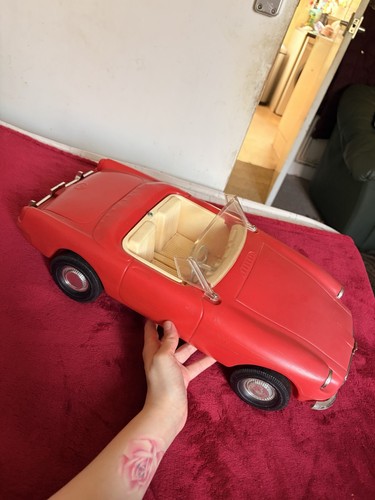Rare pedigree sindy - sindy, red